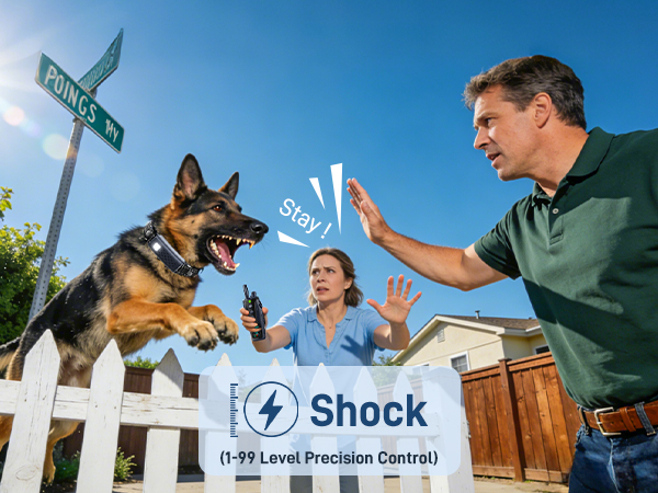 Shock