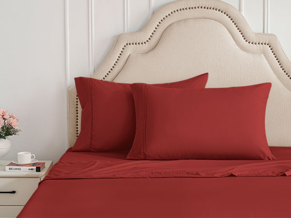 BDS01-RED