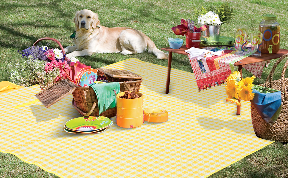 Extra Large Picnic Blanket