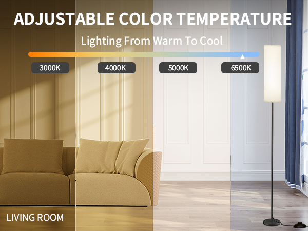 Frideko Floor Lamp adjustable Color Temperature
