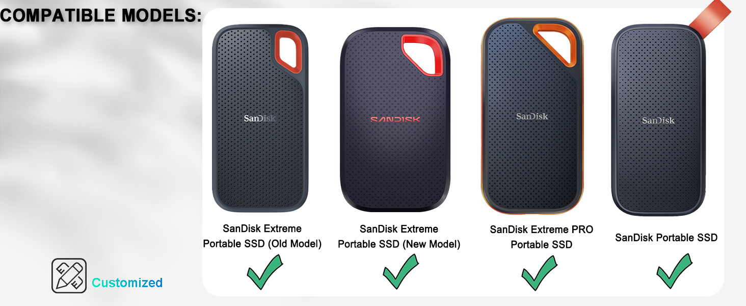 sandisk ssd carrying case