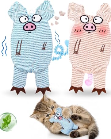 Interactive Cat Toy