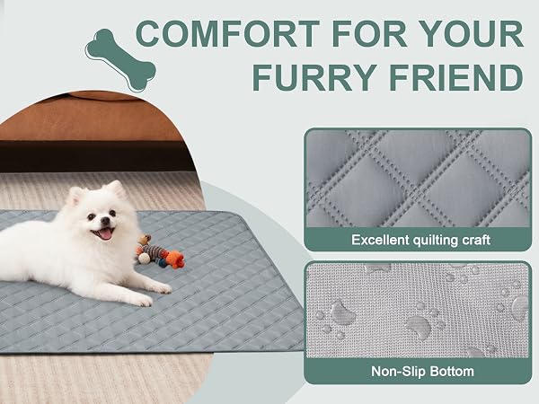 comfort for your furry friend