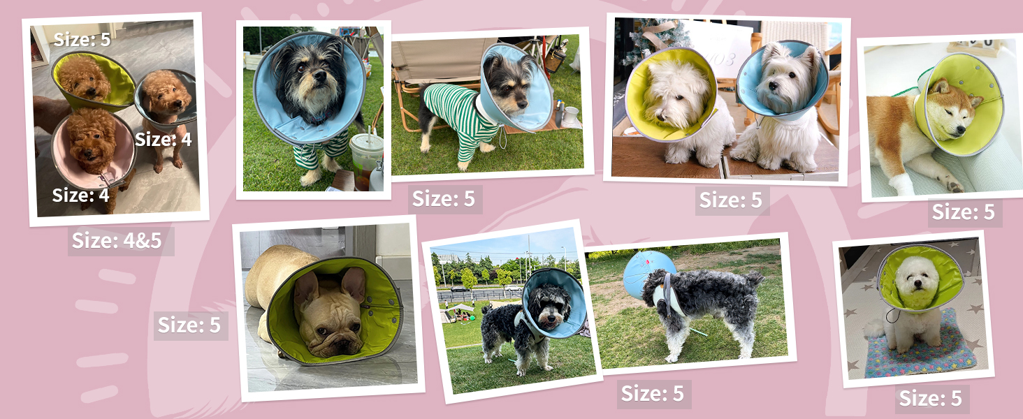 cat cone collar soft