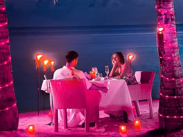 valentine lights