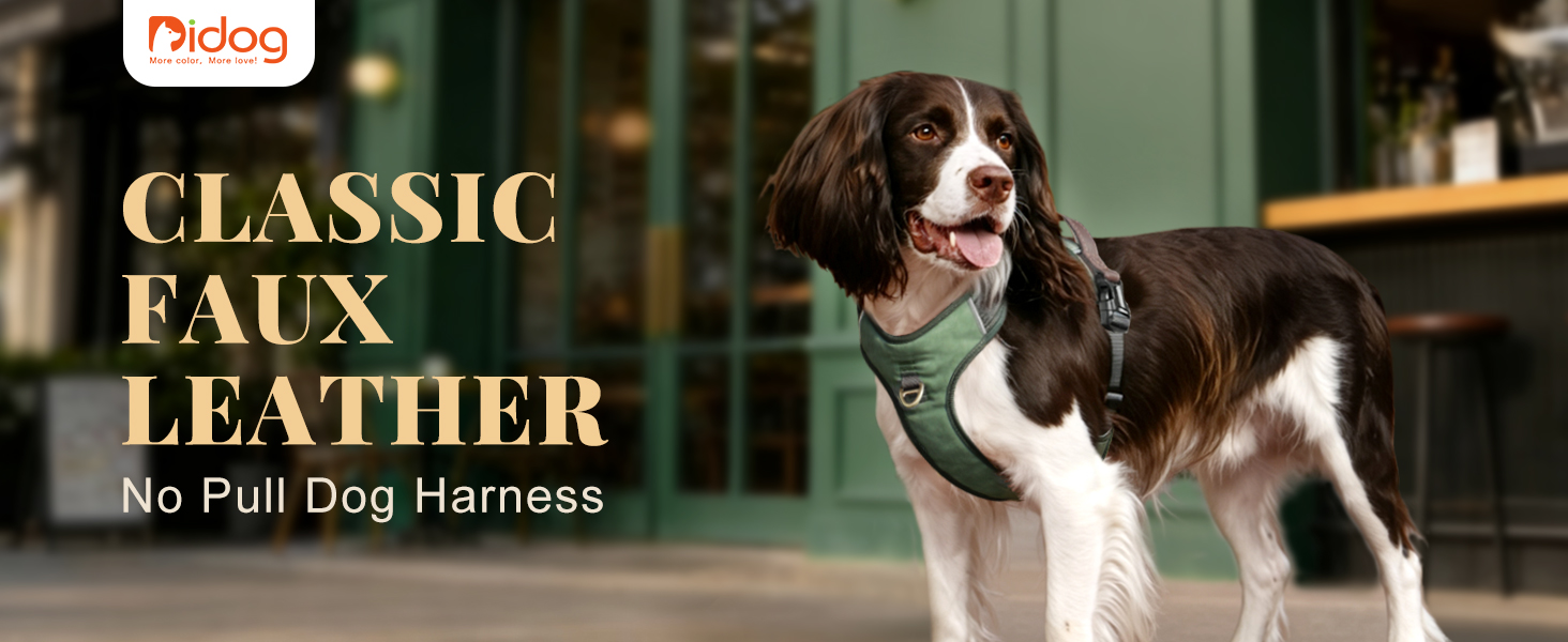 Classic No Pull Dog Harness