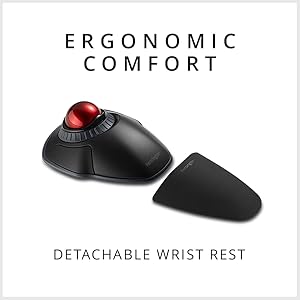 detachable wrist rest