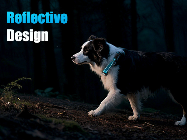 reflective dog collar