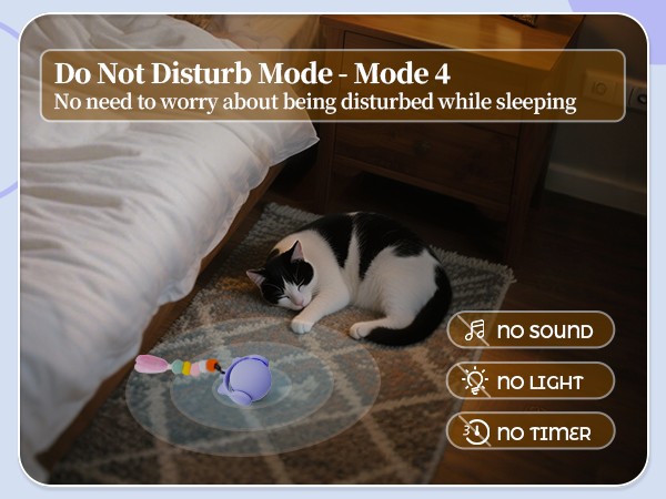 Cat Enrichment Toys
