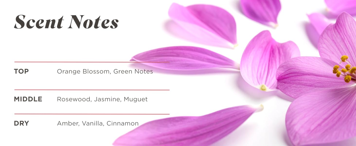 Scent Notes