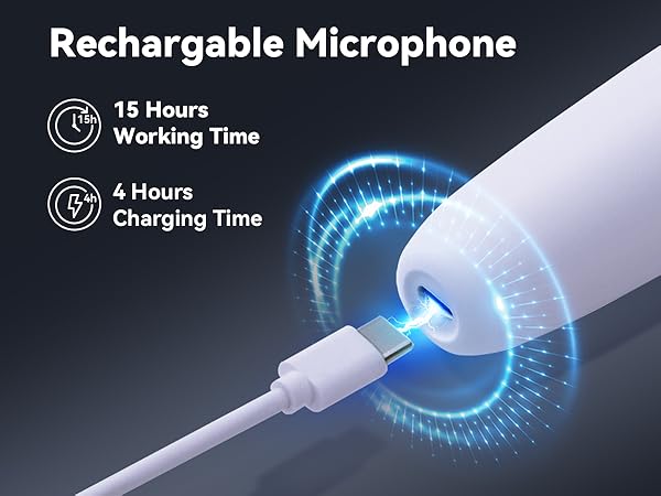 tesla car karaoke microphone for model y