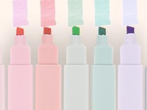 Coquette High School Pastel Writing Pens Bag Utiles for Journaling Students Teens Lapices Escolares