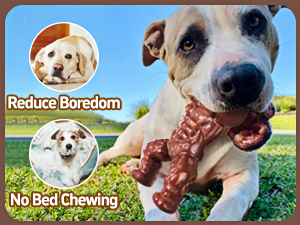 chew toys for aggressive chewers