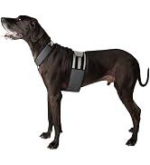 CoolerDog Dog Cooling Vest and Cooling Collar - Ice Vest for Dogs (XL)