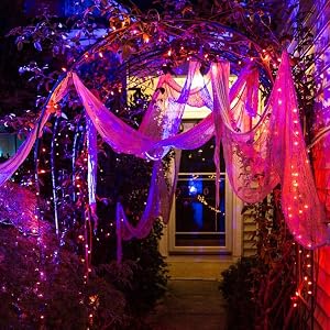 orange purple string lights