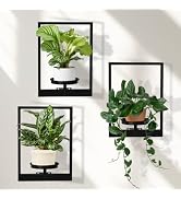 storenization Floating Shelves Plant Stand Indoor Set of 3, Wall Planters to Hold Large Pots - Pr...