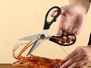 KDS01 food scissors
