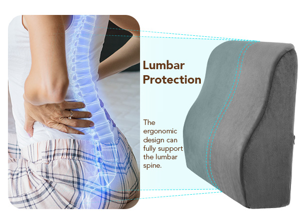 lower back pain lumbar support