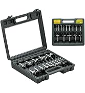 Forstner Bit Set 16Pcs Hex Shank, Wood Drill Bits Set with Multi Sided Shank, Forstner Bits for W...