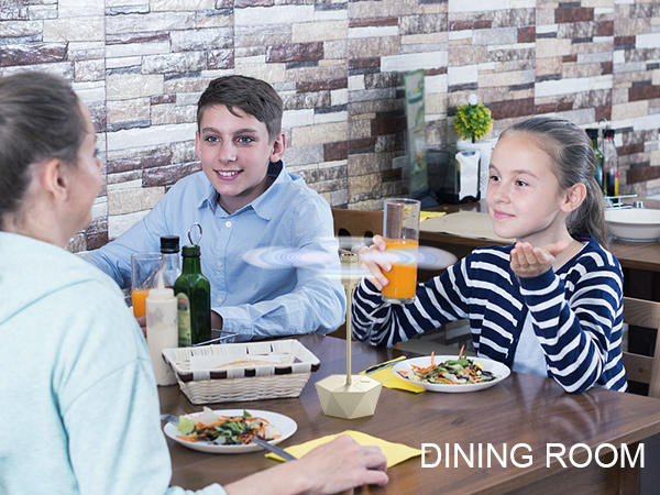 DINNING ROOM