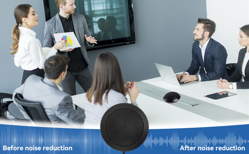 Pickup Computer Microphone