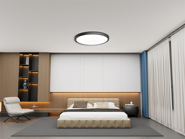 LED Ceiling Light