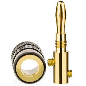 plugs