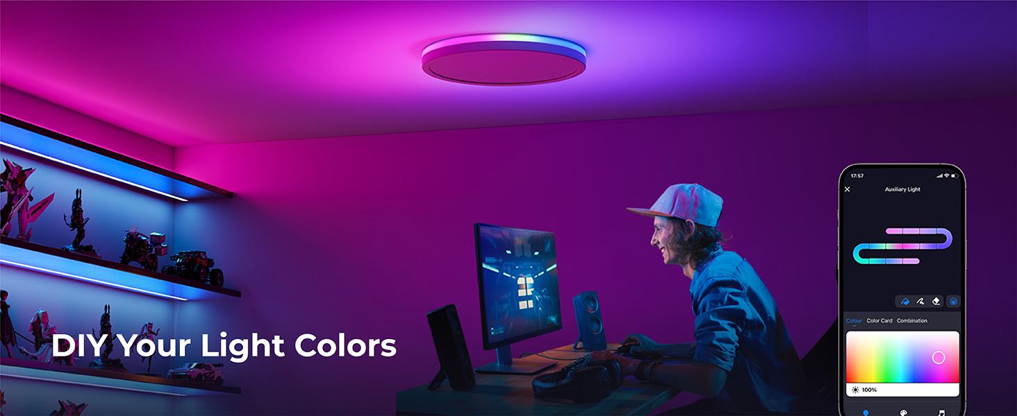 smart ceiling light