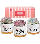 TDHDIKE Sisters Gifts from Sister or Brother Pretty Birthday Gift for Sister, Unique Succulent Pl...