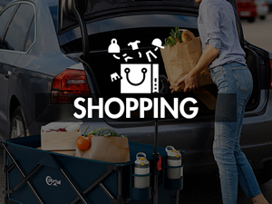 folding wagon for shopping