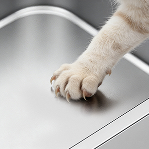 cat litter box