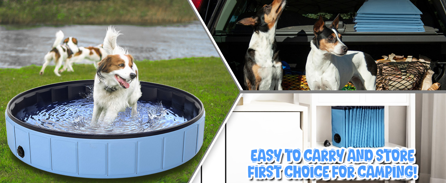 dog pool