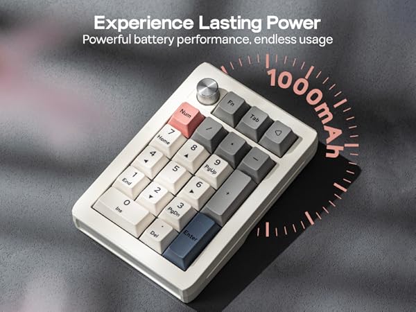 EK21 VIA Mechanical Number Pad