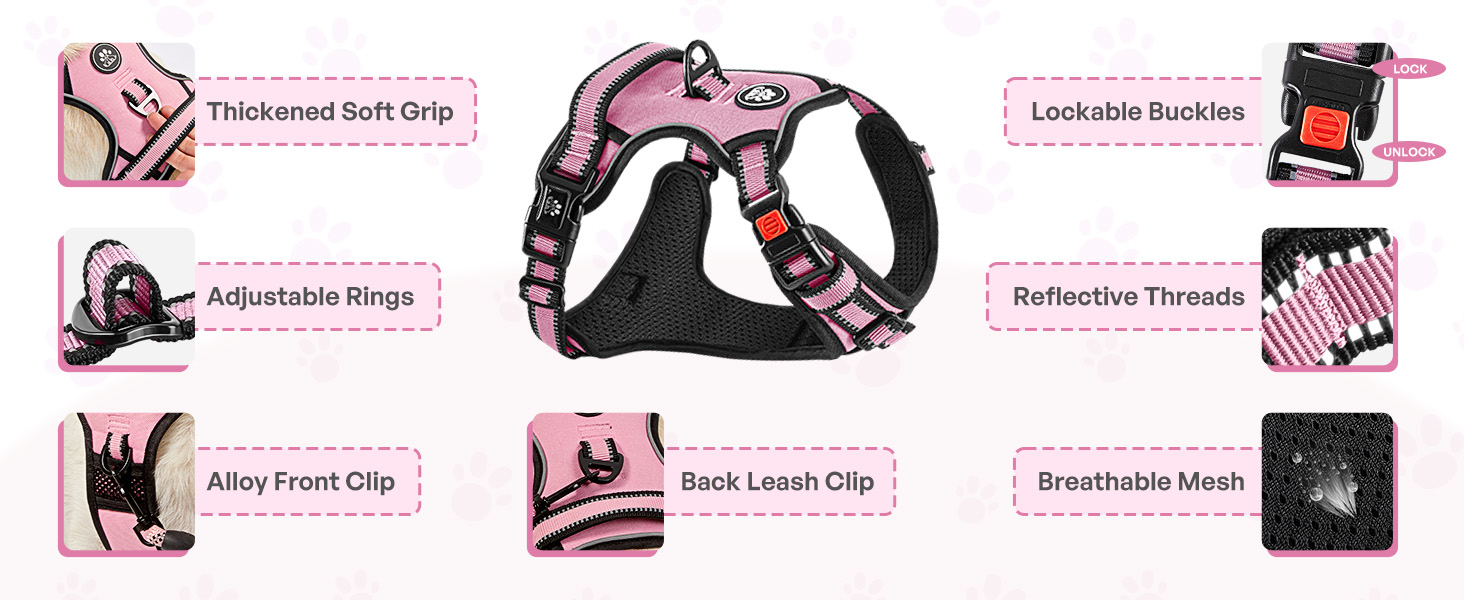 dog harness