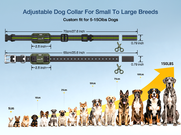DeeWaves dog training collar with remote ,e collar for dogs training,shock collar for large dog