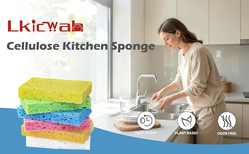 sponge