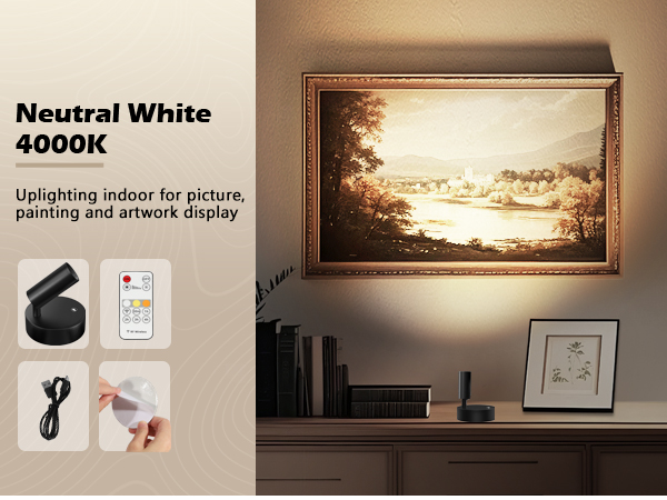 Spotlights for wall paintings and art displays on shelves