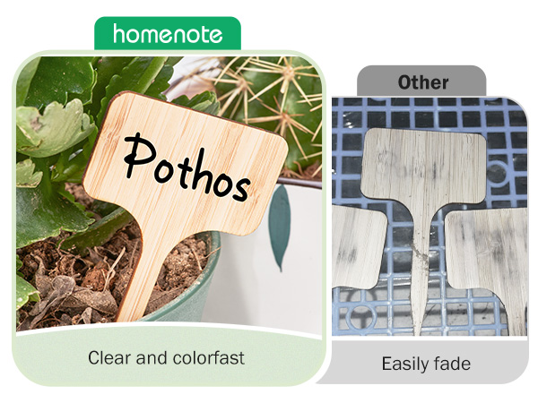 Bamboo Plant Labels