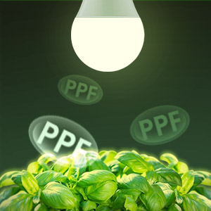 grow light bulb high light output