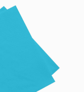 NAPKIN