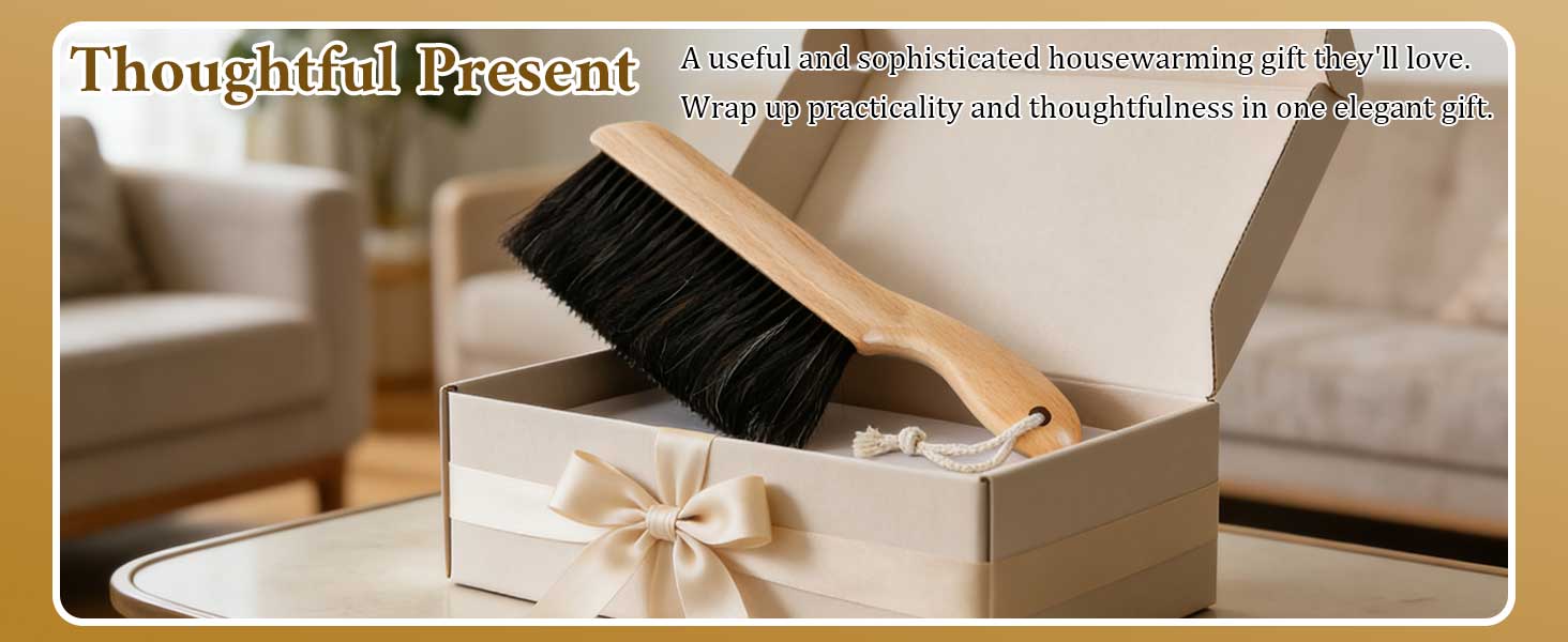 cleaning dust brush