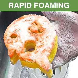 cute sponge
