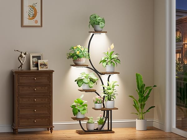 plant stand indoor