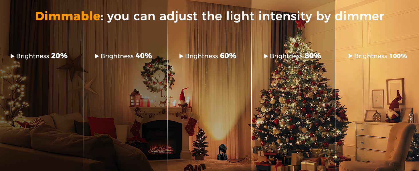 Spotlight Indoor
