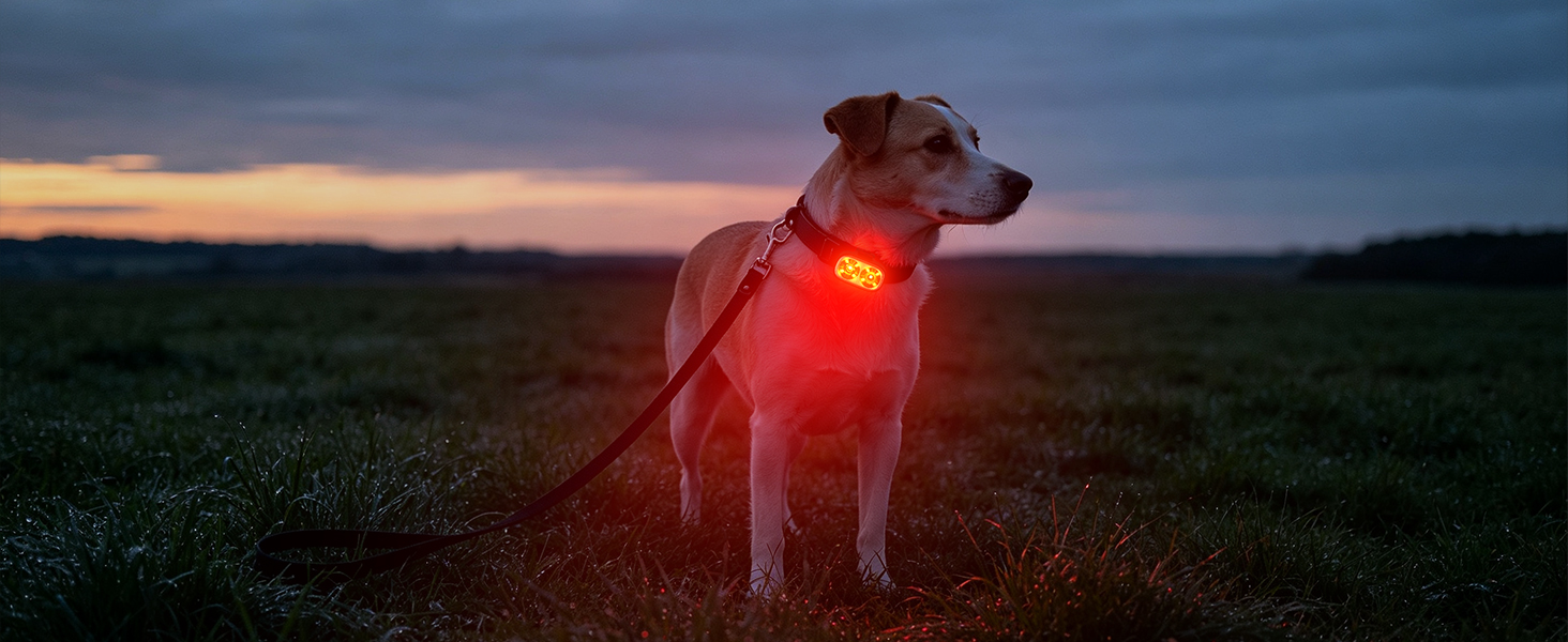 bike lights for night riding