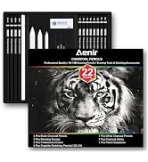Charcoal Pencils for Drawing, Set of 22, Professional Drawing Sketch Pencils, Art Supplies for Dr...