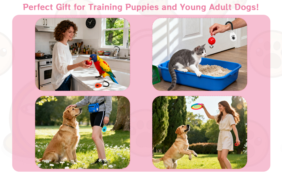 horse supplies kit strap bulk cats treat potty pack pouch wrist finger train buttons tools