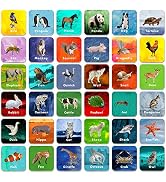Hebayy 36 Pair Animal Matching Game Flash Cards Erasable (Each Measures 2” X 2”)