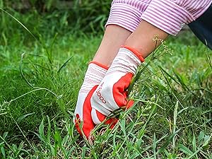 gardening 7