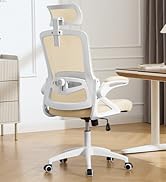 Ergonomic Office Chair